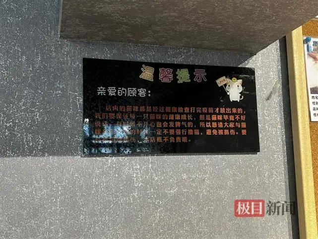 小孩猫咖撸猫被抓伤，店家称仅帮忙消毒不承担疫苗费用