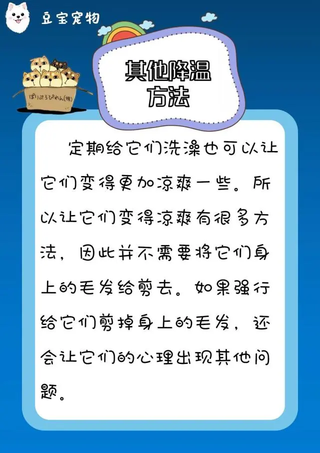 【豆宝小课堂】阿拉斯加夏天要剃毛吗？
