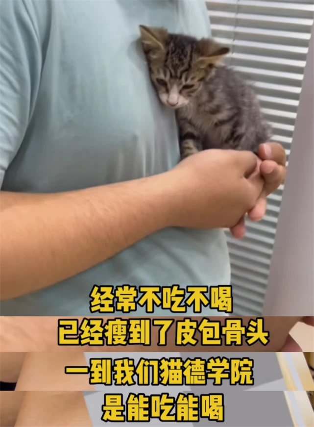 这网红狠心“变坏”，谁逼的