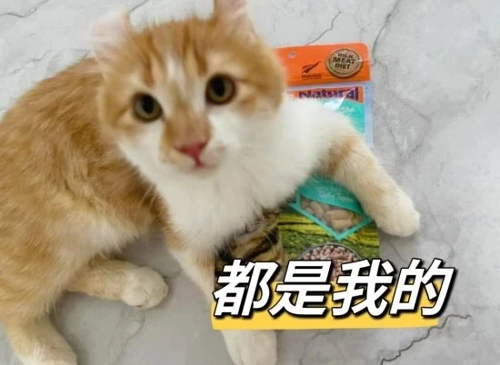 新西兰K9到底好在哪里？