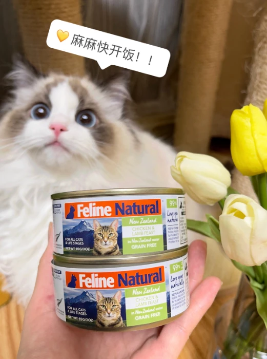新西兰K9猫罐头试吃大成功