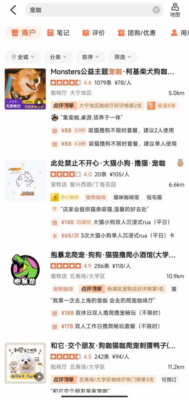 上海一宠咖招牌是价值两万的侏儒兔，异宠也成卖点！越稀有的动物越可爱？