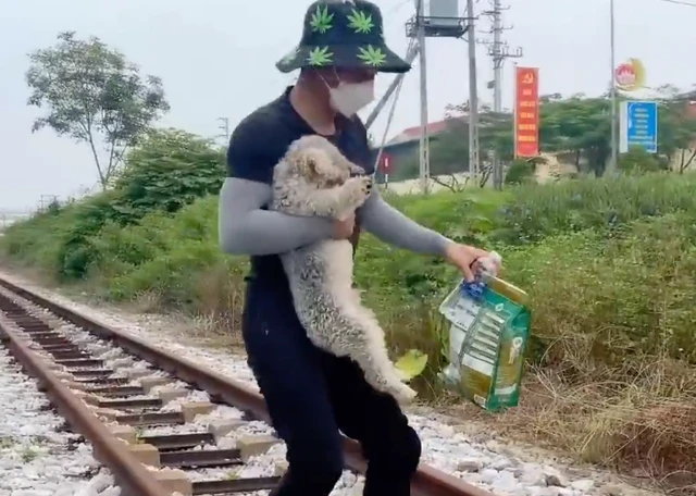 宠物狗被主人拴在火车轨道上，狗狗想要自救差点被项圈卡死！
