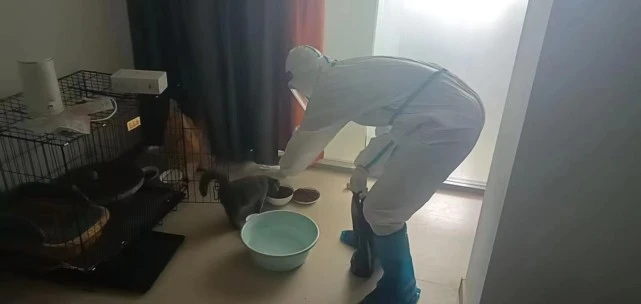 深圳一公寓居民集中隔离后，社区工作人员帮忙照看宠物获赞