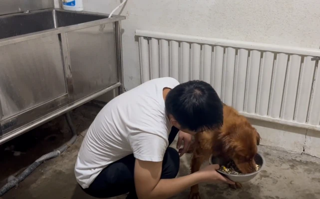 偷偷给瘦弱狗狗加餐，狗狗开心像个孩子手舞足蹈，脸上乐开了花