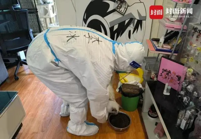 当疫情下宠物“留守” 他们当上了临时“铲屎官”【齐心战疫 成都得行】