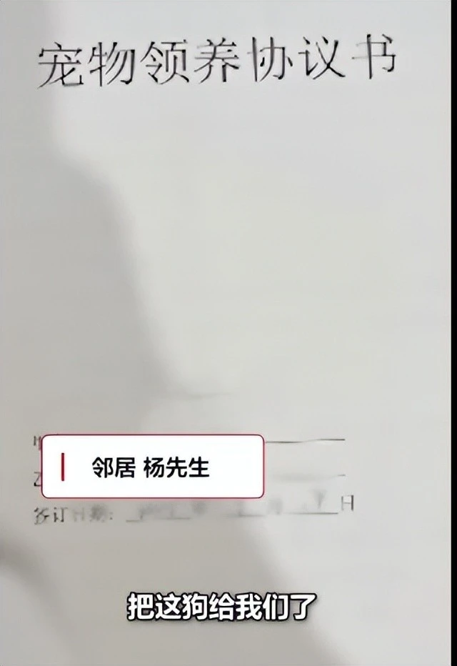 夫妻疑因吵架把狗推下4楼，狗吐血1个小时后才送往医院，网友：狗狗太惨了